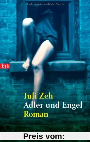Adler und Engel: Roman