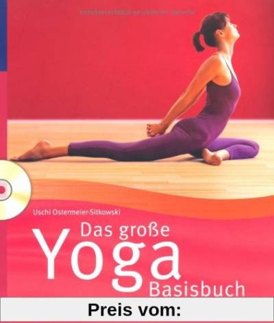 Das große Yoga Basisbuch: Die 40 besten Asanas zur Energiegewinnung