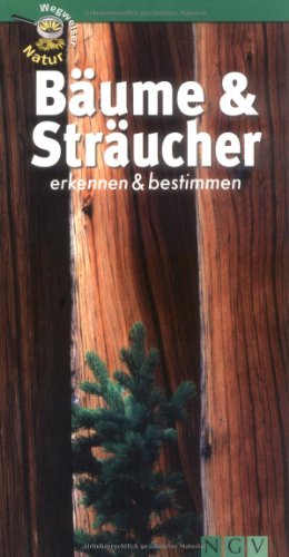 Bäume & Sträucher erkennen und bestimmen: Wegweiser Natur