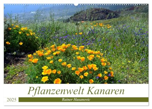 Pflanzenwelt Kanaren (Wandkalender 2025 DIN A2 quer), CALVENDO Monatskalender von CALVENDO