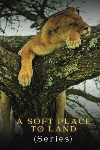 A SOFT PLACE TO LAND von Staten House