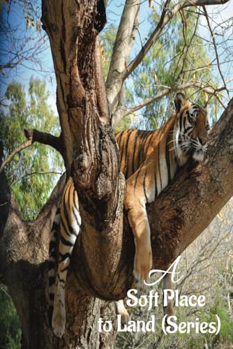A Soft Place to Land: a journal to express your thoughts and feelings von Staten House