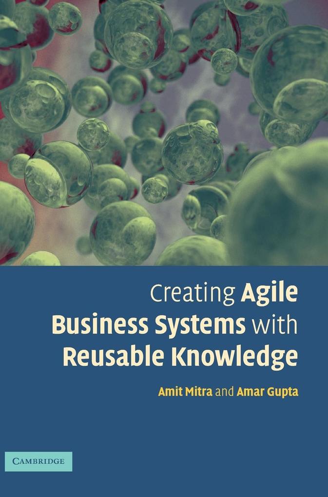 Creating Agile Business Systems with Reusable Knowledge von Cambridge University Press