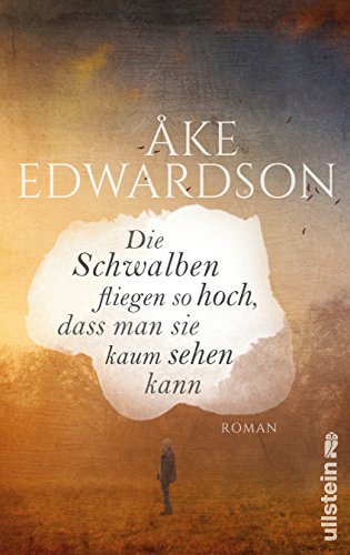 Die Schwalben fliegen so hoch, dass man sie kaum sehen kann: Roman