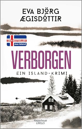 Verborgen: Ein Island-Krimi