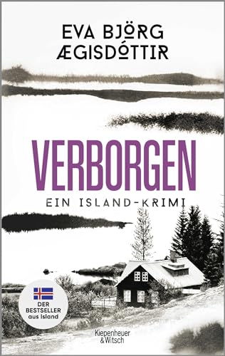 Verborgen: Ein Island-Krimi