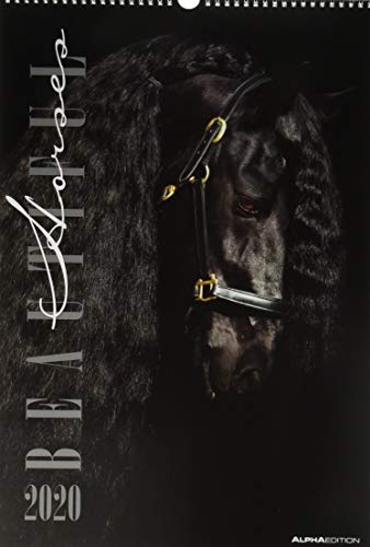 Beautiful Horses 2020 - Pferde - Bildkalender (34 x 50) - Tierkalender - Wandkalender