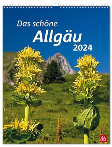 Allgäu 2024: Bildkalender von AVA-Agrar
