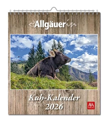 Kühe 2026: Postkartenkalender von AVA-Agrar