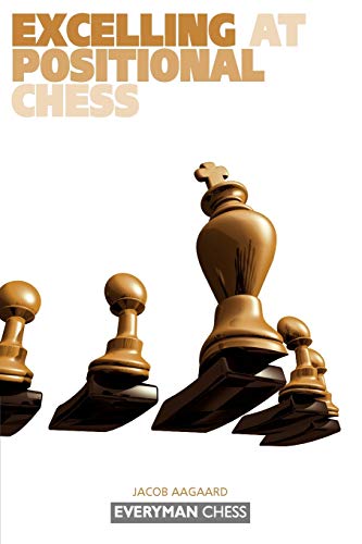 Excelling at Positional Chess (Everyman Chess)