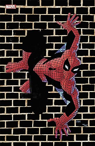 Marvel Comics N°20 (Variant - Tirage limité) - COMPTE FERME von PANINI