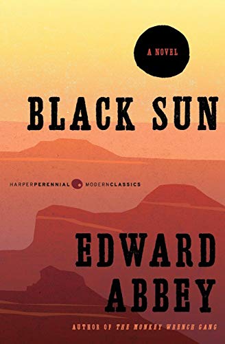 BLK SUN: A Novel (Harper Perennial Modern Classics)