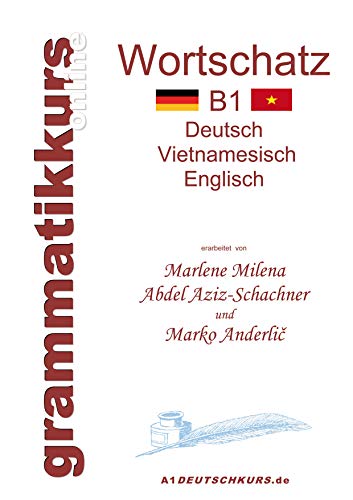 Wörterbuch Deutsch-Vietnamesisch-Englisch Niveau B1: Lernwortschatz + Grammatik + Gutschrift: 20 Unterrichtsstunden per Internet für die Integrations-Deutschkurs-TeilnehmerInnen aus Vietnam Niveau B1