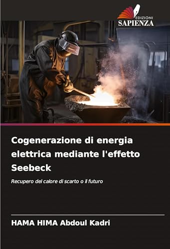 Cogenerazione di energia elettrica mediante l'effetto Seebeck: Recupero del calore di scarto o il futuro von Edizioni Sapienza