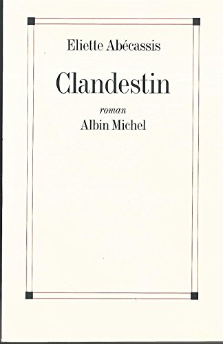 Clandestin (Romans, Nouvelles, Recits (Domaine Francais)) von Albin Michel