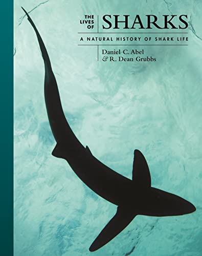 The Lives of Sharks: A Natural History of Shark Life (Lives of the Natural World, 7) von Princeton University Press