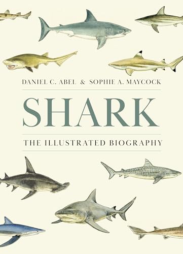Shark: The Illustrated Biography von Princeton University Press