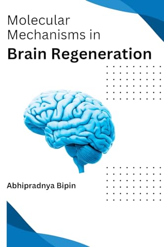 Molecular Mechanisms in Brain Regeneration