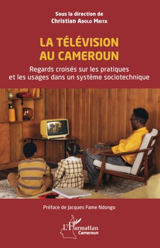 La Télévision au Cameroun: Regards croisés sur les pratiques et les usages dans un système sociotechnique von Editions L'Harmattan