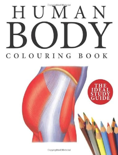 Human Body Colouring Book: Human Anatomy in 215 Illustrations von Amber Books