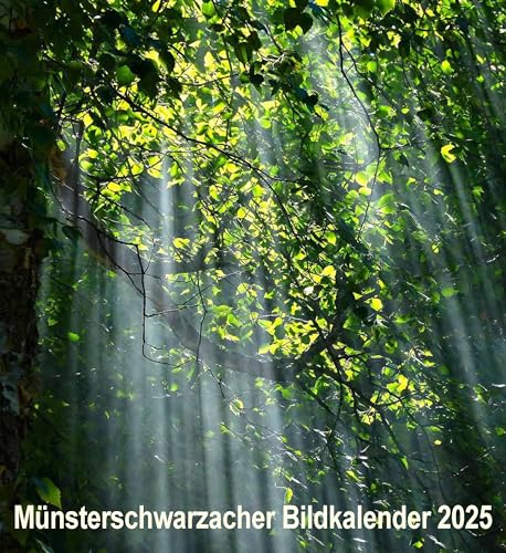 Münsterschwarzacher Bildkalender 2025 (Münsterschwarzacher Kalender) von Vier-Türme-Verlag