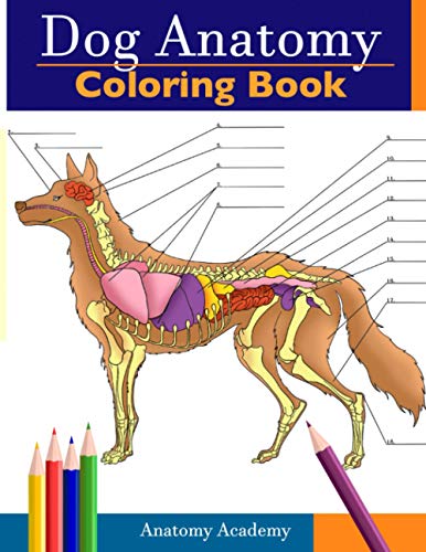 Dog Anatomy Coloring Book: Incredibly Detailed Self-Test Canine Anatomy Color workbook | Perfect Gift for Veterinary Students, Dog Lovers & Adults Dog Anatomy Coloring Book: Incredibly Detailed Self-Test Canine Anatomy Color workbook | Perfect Gift for Veterinary Students, Dog Lovers & Adults von Muze Publishing