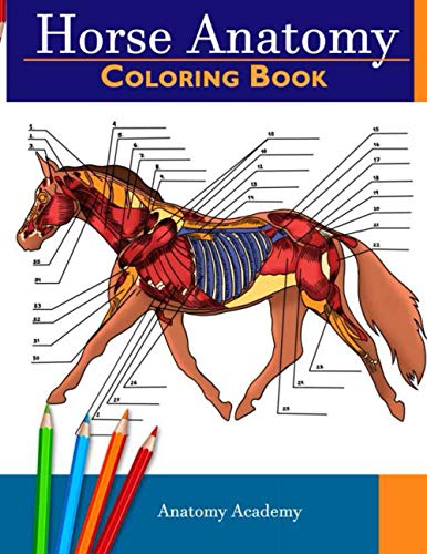 Horse Anatomy Coloring Book: Incredibly Detailed Self-Test Equine Anatomy Color workbook | Perfect Gift for Veterinary Students, Horse Lovers & Adults Horse Anatomy Coloring Book: Incredibly Detailed Self-Test Equine Anatomy Color workbook | Perfect Gift for Veterinary Students, Horse Lovers & Adults