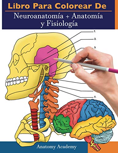 Libro para colorear de Neuroanatomía + Anatomía y Fisiología: 2-en-1 compilación | Libro de colores de autoevaluación para estudiar muy detallado para Estudiar y Relajarse von PODIPRINT