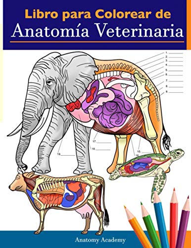 Libro para colorear de anatomía veterinaria: Libro de trabajo para colorear de autoevaluación de fisiología animal para estudiar y relajarse | Un ... estudiantes veterinarios e incluso adultos von Muze Publishing