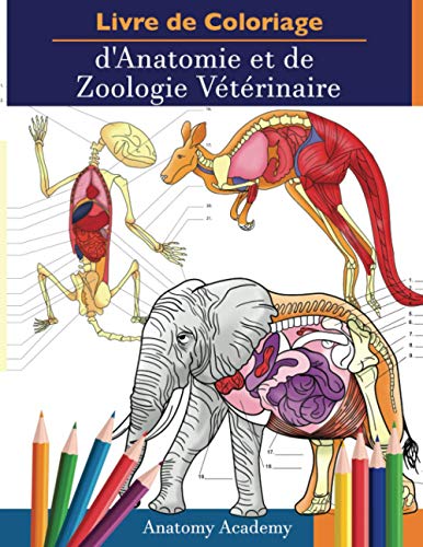 Livre de Coloriage d'Anatomie et de Zoologie Vétérinaire: 2-en-1 Compilation | Cahier d'Exercices d'Anatomie Animale Incroyablement Détaillé | Cadeau ... Vétérinaire et les Amoureux des Animaux Livre de Coloriage d'Anatomie et de Zoologie Vétérinaire: 2-en-1 Compilation | Cahier d'Exercices d'Anatomie Animale Incroyablement Détaillé | Cadeau ... Vétérinaire et les Amoureux des Animaux