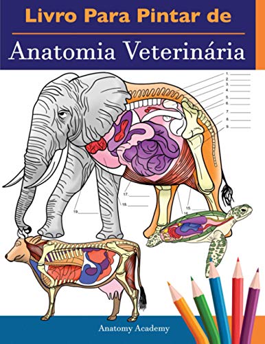 Livro Para Pintar de Anatomia Veterinária: Com Questionários da Fisiologia de Animais Para Estudar e Relaxar |O Presente Perfeito Para Estudantes de Medicina Veterinária e Até Mesmo Adultos Livro Para Pintar de Anatomia Veterinária: Com Questionários da Fisiologia de Animais Para Estudar e Relaxar |O Presente Perfeito Para Estudantes de Medicina Veterinária e Até Mesmo Adultos