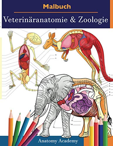 Malbuch Veterinäranatomie & Zoologie: 2-in-1 Zusammenstellung | Unglaublich Detailliertes Farbarbeitsbuch zum Selbsttest der Tieranatomie | Perfektes Geschenk für Tierarztstudenten und Tierliebhaber Malbuch Veterinäranatomie & Zoologie: 2-in-1 Zusammenstellung | Unglaublich Detailliertes Farbarbeitsbuch zum Selbsttest der Tieranatomie | Perfektes Geschenk für Tierarztstudenten und Tierliebhaber