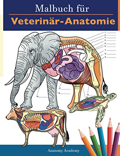 Malbuch für Veterinär-Anatomie: Tierphysiologie-Selbstquiz Arbeitsbuch zum Lernen und Entspannen | Perfektes Geschenk für Tiermedizin-Studenten und sogar Erwachsene Malbuch für Veterinär-Anatomie: Tierphysiologie-Selbstquiz Arbeitsbuch zum Lernen und Entspannen | Perfektes Geschenk für Tiermedizin-Studenten und sogar Erwachsene