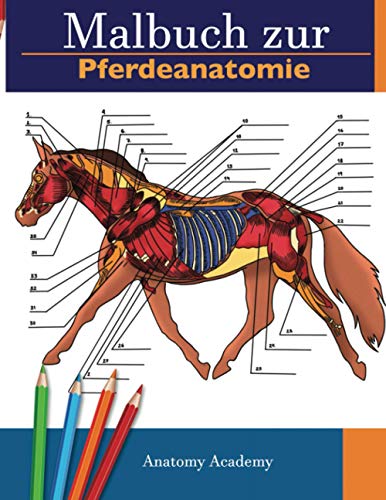 Malbuch zur Pferdeanatomie: Unglaublich detailliertes Arbeitsbuch zum Selbsttest der Pferdeanatomie | Perfektes Geschenk für Tiermedizinstudenten, Pferdeliebhaber und Erwachsene Malbuch zur Pferdeanatomie: Unglaublich detailliertes Arbeitsbuch zum Selbsttest der Pferdeanatomie | Perfektes Geschenk für Tiermedizinstudenten, Pferdeliebhaber und Erwachsene