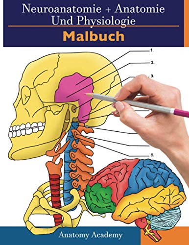 Neuroanatomie + Anatomie und Physiologie Malbuch: 2-in-1-Zusammenstellung | Unglaublich detailliertes Arbeitsheft mit Selbsttestfarben für Studium und ... Selbsttestfarben für Studium und Entspannung Neuroanatomie + Anatomie und Physiologie Malbuch: 2-in-1-Zusammenstellung | Unglaublich detailliertes Arbeitsheft mit Selbsttestfarben für Studium und ... Selbsttestfarben für Studium und Entspannung von Muze Publishing
