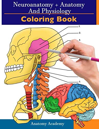 Neuroanatomy + Anatomy and Physiology Coloring Book: 2-in-1 Collection Set | Incredibly Detailed Self-Test Color workbook for Studying and Relaxation Neuroanatomy + Anatomy and Physiology Coloring Book: 2-in-1 Collection Set | Incredibly Detailed Self-Test Color workbook for Studying and Relaxation