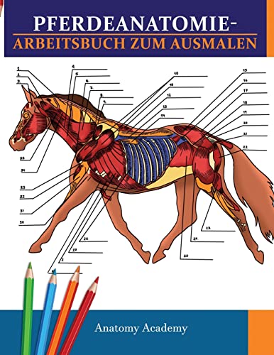 Pferdeanatomie-Arbeitsbuch zum Ausmalen: Unglaublich detailliertes Pferdeanatomie-Arbeitsbuch zum Ausmalen mit Selbsttest Das perfekte Geschenk für Tiermedizinstudenten, Pferdeliebhaber & Erwachsene Pferdeanatomie-Arbeitsbuch zum Ausmalen: Unglaublich detailliertes Pferdeanatomie-Arbeitsbuch zum Ausmalen mit Selbsttest Das perfekte Geschenk für Tiermedizinstudenten, Pferdeliebhaber & Erwachsene