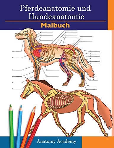 Pferdeanatomie und Hundeanatomie Malbuch: 2-in-1 Zusammenstellung | Unglaublich detailliertes Arbeitsbuch zum Selbsttest für Pferde- und Hundeanatomie ... Tierliebhaber und Erwachsene Pferdeanatomie und Hundeanatomie Malbuch: 2-in-1 Zusammenstellung | Unglaublich detailliertes Arbeitsbuch zum Selbsttest für Pferde- und Hundeanatomie ... Tierliebhaber und Erwachsene von Muze Publishing