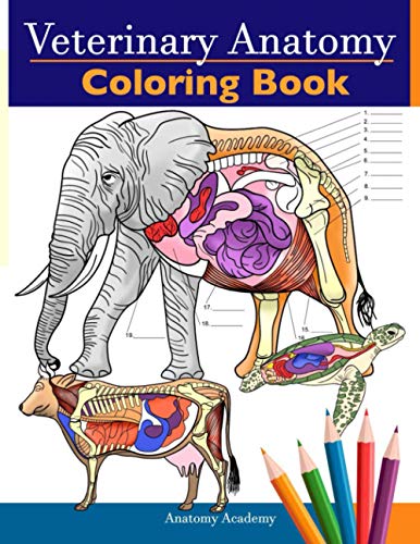 Veterinary Anatomy Coloring Book: Animals Physiology Self-Quiz Color Workbook for Studying and Relaxation | Perfect gift For Vet Students and even Adults Veterinary Anatomy Coloring Book: Animals Physiology Self-Quiz Color Workbook for Studying and Relaxation | Perfect gift For Vet Students and even Adults