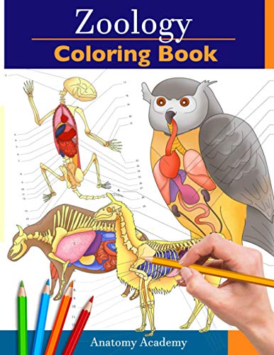Zoology Coloring Book: Incredibly Detailed Self-Test Animal Anatomy Color workbook | Perfect Gift for Veterinary Students and Animal Lovers Zoology Coloring Book: Incredibly Detailed Self-Test Animal Anatomy Color workbook | Perfect Gift for Veterinary Students and Animal Lovers von Muze Publishing