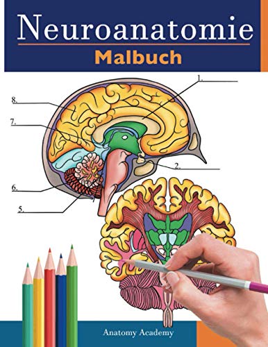 neuroanatomie malbuch: Unglaublich detailliertes Selbsttest Buch über die Färbung des menschlichen Gehirns für die Neurowissenschaften | Perfektes ... Pfleger, Ärzte und Erwachsene