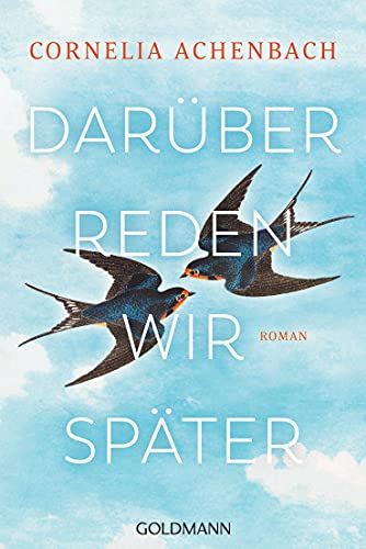 Darüber reden wir später: Roman