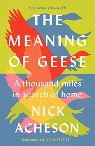 The Meaning of Geese: A Thousand Miles in Search of Home von Chelsea Green Publishing UK