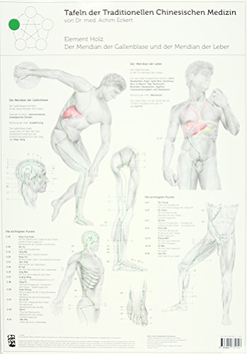 Element Holz: Tafel der Traditionellen Chinesischen Medizin: Der Meridian der Gallenblase und der Meridian der Leber