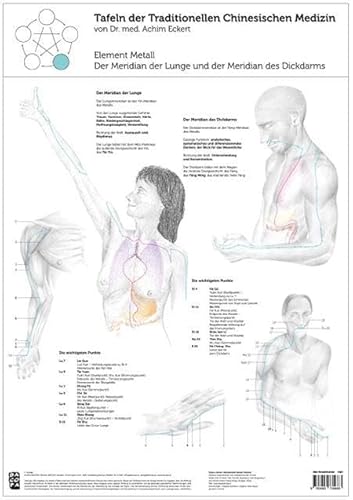 Element Metall: Tafel der Traditionellen Chinesischen Medizin: Der Meridian der Lunge und der Meridian des Dickdarms