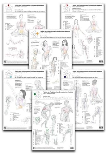 Set von 6 Tafeln der Traditionellen Chinesischen Medizin von Bacopa