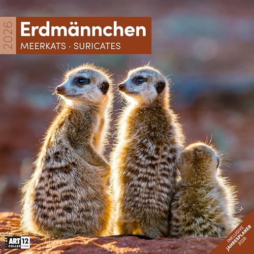 Erdmännchen Broschürenkalender 2026 - 30x30 - Art12 | Niedlicher Tier-Kalender im schlanken Hochformat (aufgeklappt 30x60 cm) | Eintrage-Kalendarium Erdmännchen Broschürenkalender 2026 - 30x30 - Art12 | Niedlicher Tier-Kalender im schlanken Hochformat (aufgeklappt 30x60 cm) | Eintrage-Kalendarium von "Ackermann Kunstverlag"