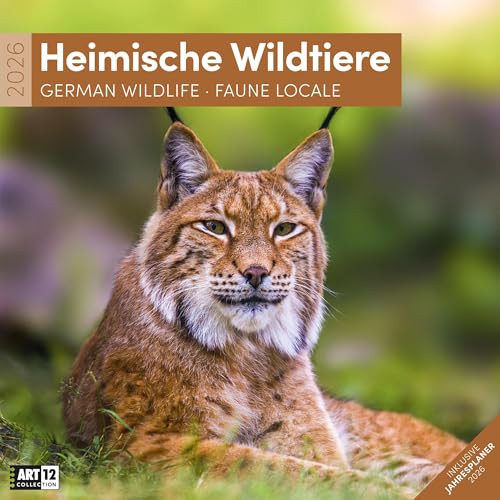 Heimische Wildtiere Broschürenkalender 2026 - 30x30 - Art12 | Bildgewaltiger Tier-Kalender im schlanken Hochformat (aufgeklappt 30x60 cm) | Notizen von "Ackermann Kunstverlag"