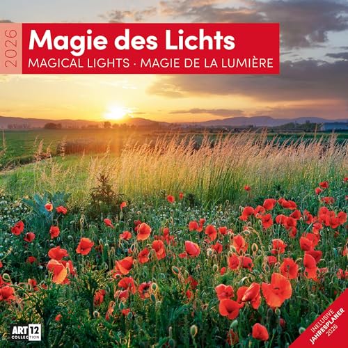 Magie des Lichts Broschürenkalender 2026 - 30x30 - Art12 | Geschmackvoller Landschaftskalender im schlanken Hochformat (aufgeklappt 30x60 cm) | Notiz von "Ackermann Kunstverlag"