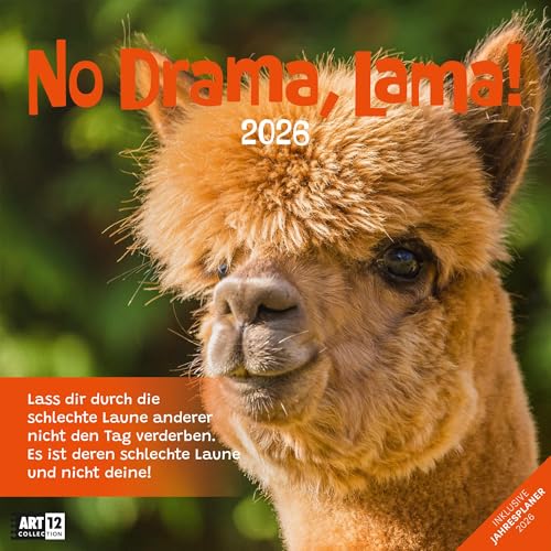 No Drama, Lama Broschürenkalender 2026 - 30x30 - Art12 | Humorvoller Tier-Kalender im schlanken Hochformat (aufgeklappt 30x60 cm) | zum Eintragen No Drama, Lama Broschürenkalender 2026 - 30x30 - Art12 | Humorvoller Tier-Kalender im schlanken Hochformat (aufgeklappt 30x60 cm) | zum Eintragen von "Ackermann Kunstverlag"